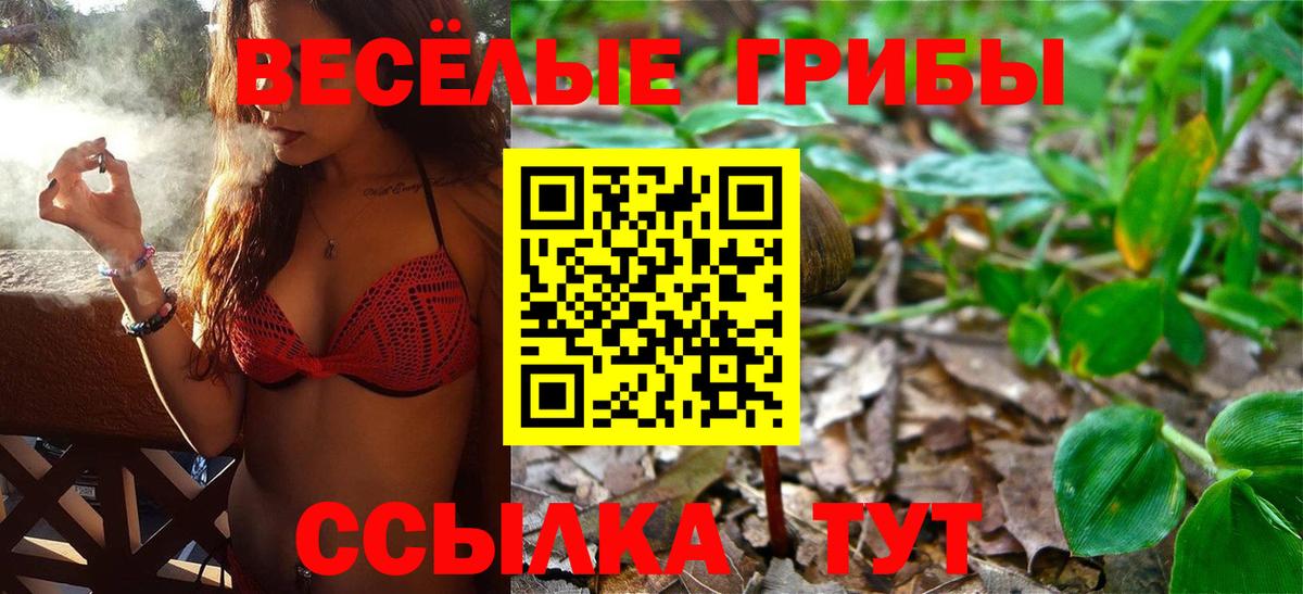 Псилоцибиновые грибы Psilocybe Темрюк